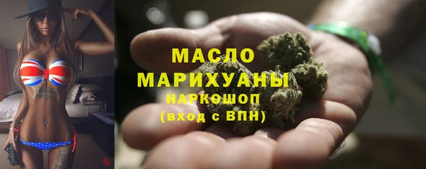 соль ск Новозыбков
