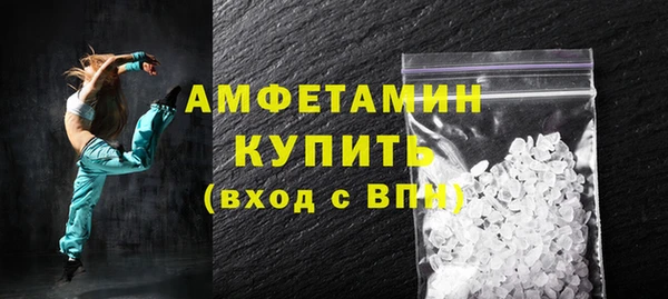 трава Няндома