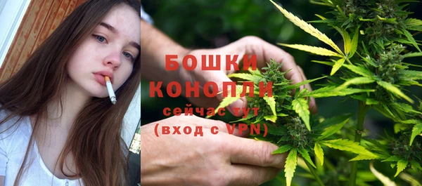 соль ск Новозыбков