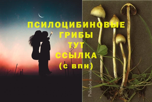 МДМА Нязепетровск