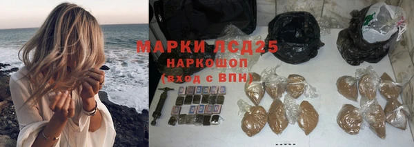 трава Няндома
