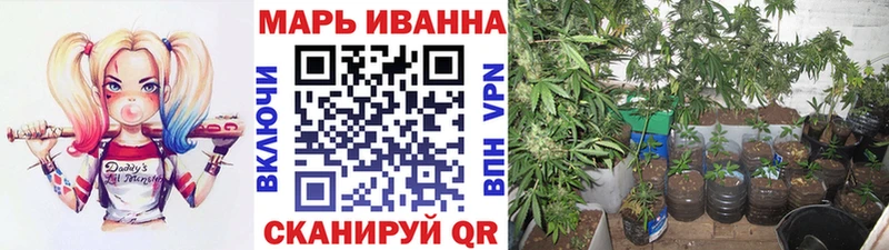 Купить закладки Омск Марихуана SATIVA & INDICA